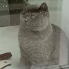 arsenynikitin7