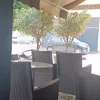 elmedofar
