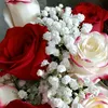 railya_153