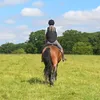 charliekayley