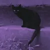 usermffndbqgly