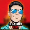 Sebasmiu RDR