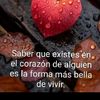 carlosjorge164559