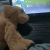 hjips99k