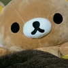 rilakkuma018