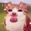alanm.dot