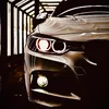 leo_6116