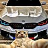 andreimiron58
