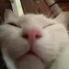 hihihihiha_09