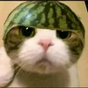 useryqzw6j6hbs