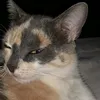 fransilva0286