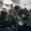 khoanguyen_208