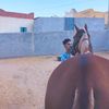 mouhamed_hn
