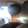 rafael_fig0