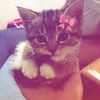lidia_ker