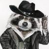 optimusraccoon