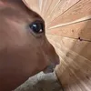 kxywxy