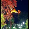 assiljasser