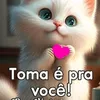 m_losao