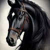 aboud_bin_salman