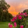southernsunset33