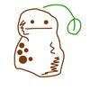 kokopooooise