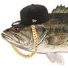 im.a.bass
