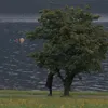 anakcomelll05