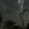 iopqpp