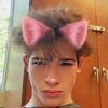 dillon_perchance