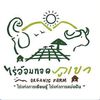 sathian_528112506