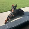 trebol_307