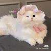 ohajaa0