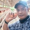 inyomanmertajaya