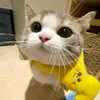 kinderjooyyluv