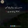 zainali665o