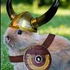 mrsvikingbunny