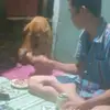 user135091206l