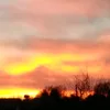 ilar_dv