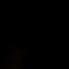 lrryy_11