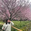 lechihoang2
