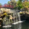 honghanhmc1988