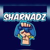 sharnadz_azndrie12