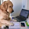 rianbooked