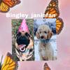 bingley_janiefan