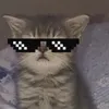 bomboclat_kitty