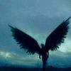 __brosheniy__