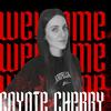 coyote_cherry