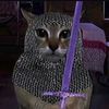 ahmed.nairi