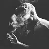 boss_1n